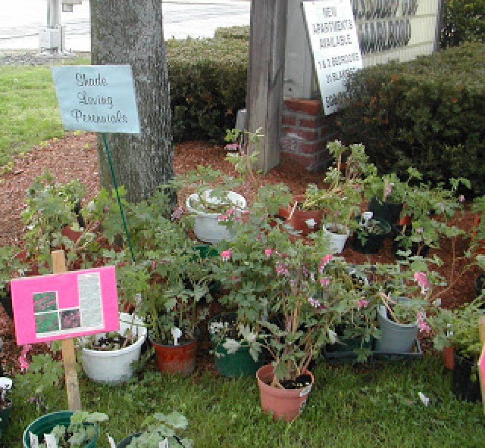 peaslee school northborough home page